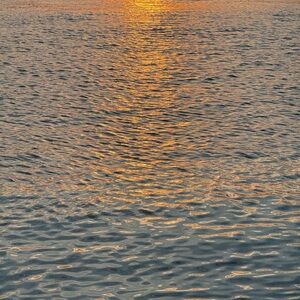 Meet your Posher, Alexa